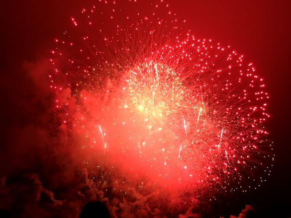 下から見ました。