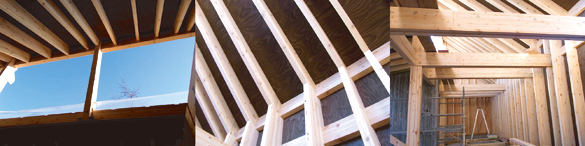 カキの木と青空。