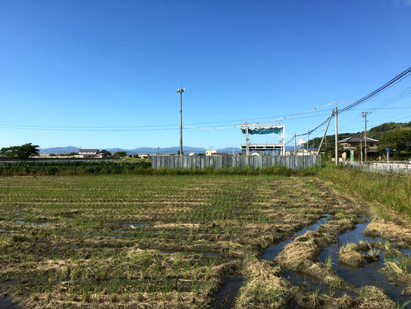 4棟目と5棟目。