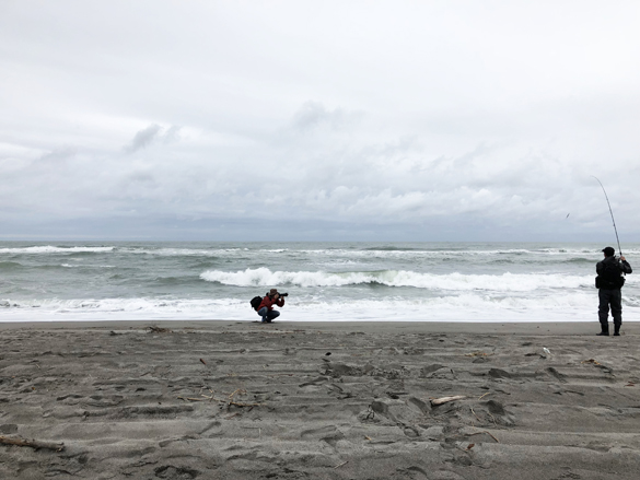 今年は砂浜で。