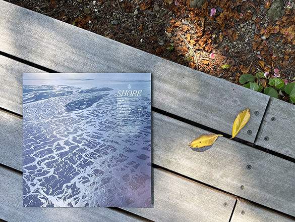 美しくて透明なレコード。