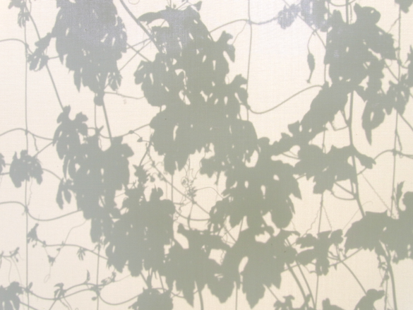 ゴーヤの本分。