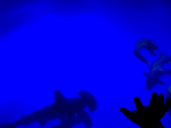 休日らしい休日。