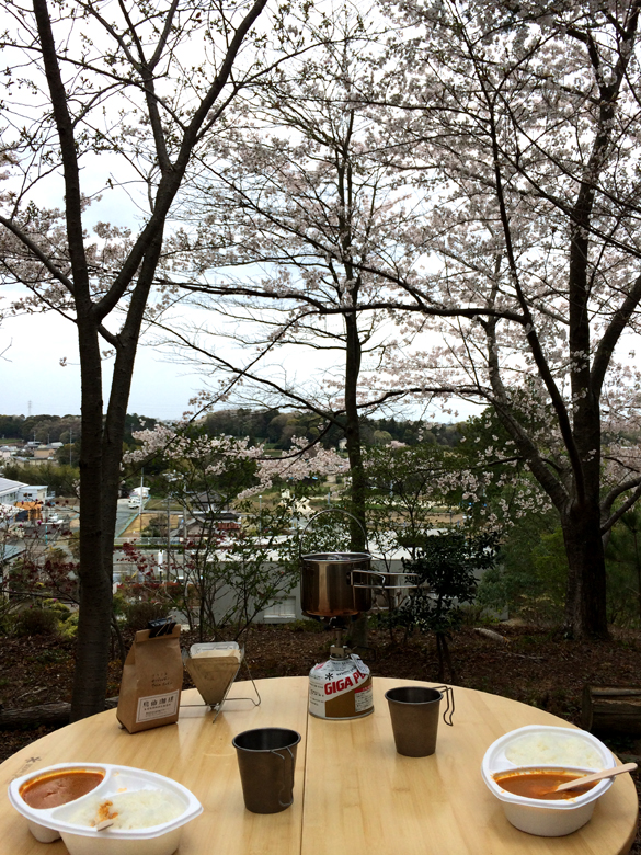 ムリヤリお花見。