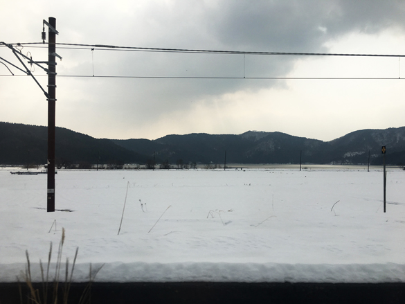 モノトーンな世界。