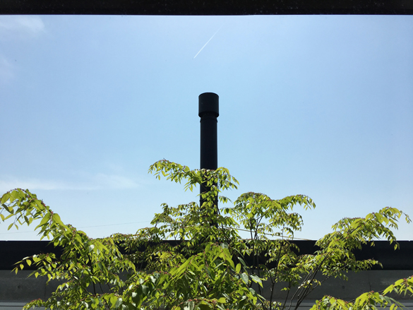 穏やかな日曜日の午前。