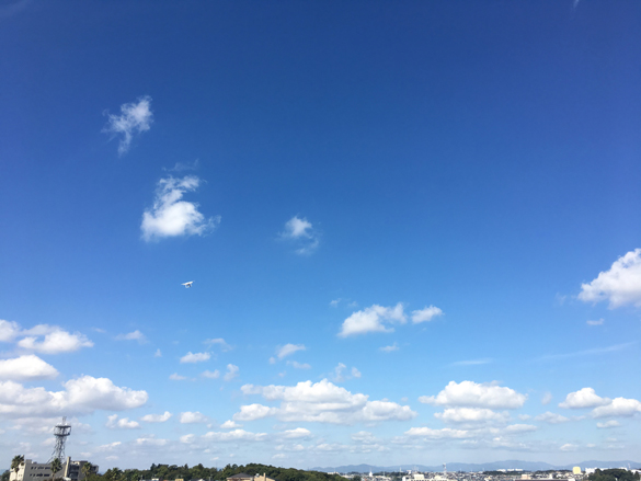 4枚のプロペラ。