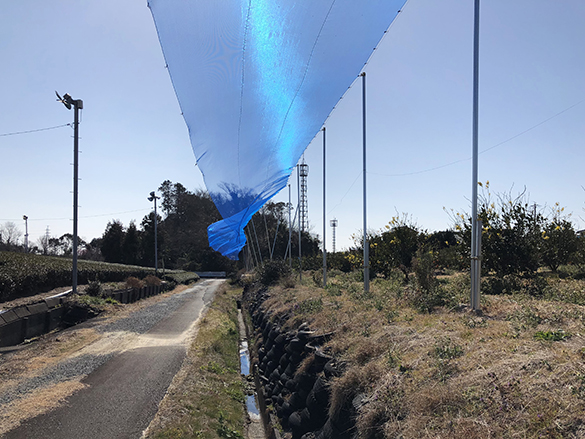 イワタノイエのまわり。