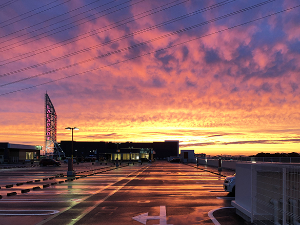 アスファルトに夕焼け。