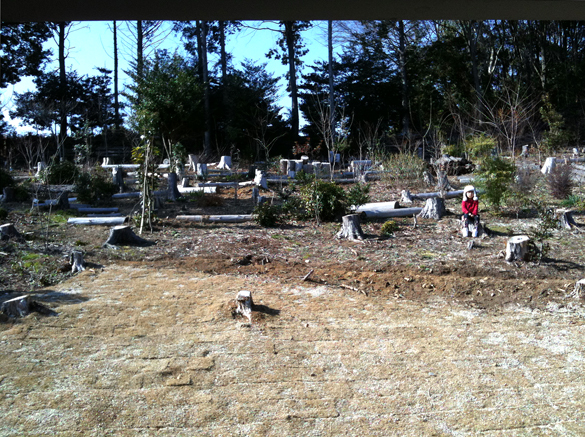 ほほえましくて、いきいきとした場面。