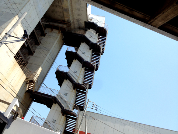 シーラカンス。