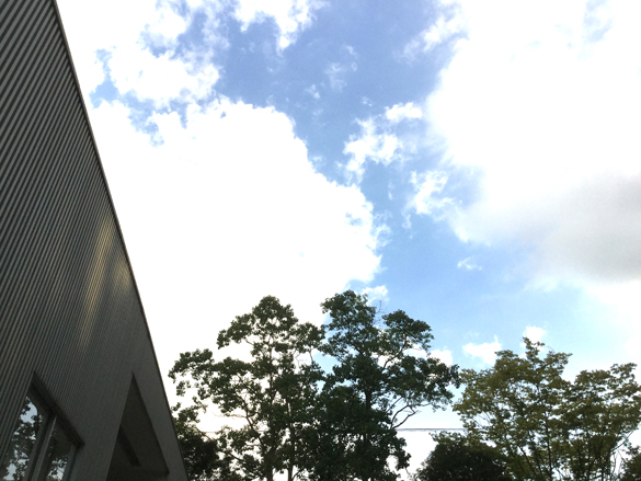 夏のイメージ。