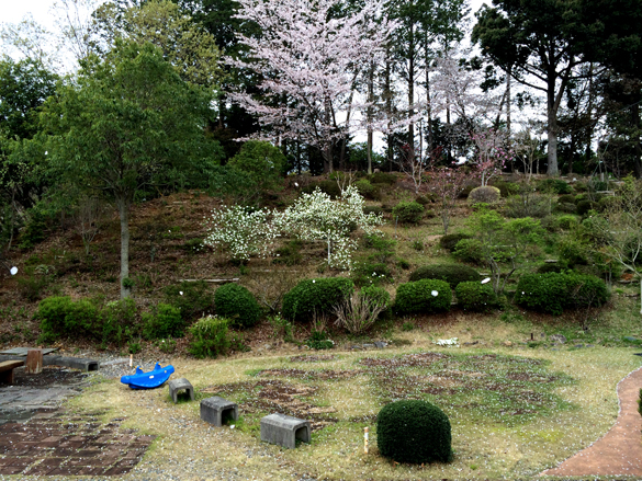 ム、ムズカシイ・・・。